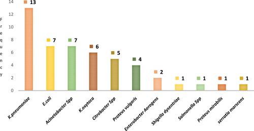 Figure 2 Distribution of ESBL-producing Gram-negative bacteria from mobile phones of HCWs of TASH, 2019.