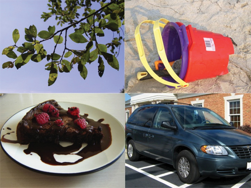 Figure 5. Sample visual display, Experiment 2 showing the likely object (cake), verb-congruent competitor (branch), and the two unrelated competitors (pail and minivan). This visual display was accompanied by the auditory stimuli “Someone will eat the … ” (constrained condition) or “Someone will move the … ” (control condition).