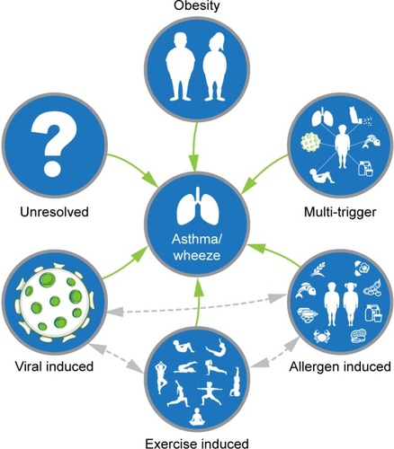 Figure 2 Pediatric asthma is a heterogeneous condition with multiple phenotypes arising from different underlying pathophysiologies.