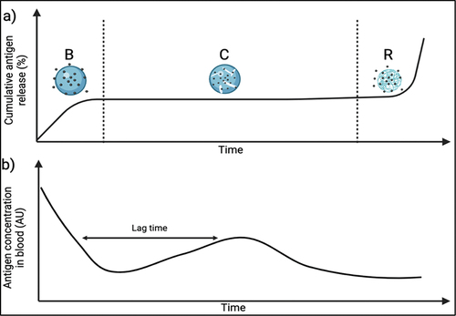 Figure 2. (a) Theoretical Triphasic release pattern from PLGA particles: initial antigen release from the surface of the microparticles through diffusion resulting in a burst phase (b), diffusion-dependent constant release phase (c), second rapid release phase caused by polymer erosion (R); (b) Corresponding theoretical antigen concentration in blood.