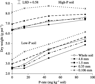 Figure 4  Effect of aggregate size on the shoot dry weight of corn. Error bar represents one least significant difference (LSD) at P < 0.05.