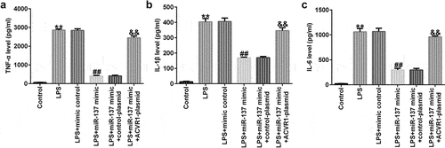 Figure 5. ACVR1-plasmid abolishes the effects of the miR-137 mimic on inflammatory factor secretion in NP cells. NP cells were exposed to the mimic-control, miR-137 mimic, control-plasmid, or ACVR1-plasmid, followed by 10 ng/mL of LPS. The secretion of inflammatory cytokines, including (a) TNF-α, (b) IL-1β and (c) IL-6, was visualized using ELISA. **p < 0.01 vs. control; ##p < 0.01 vs. LPS+mimic control; &&p < 0.01 vs. LPS+miR-137 mimic+control-plasmid.