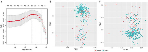 Figure 3. LASSO model and principal component analysis. (a) 10‑fold cross‑validation for tuning parameter selection in the LASSO model. (b) PCA prior to and (c) after LASSO variable reduction. LASSO, least absolute shrinkage and selection operator; PCA, principal component analysis.