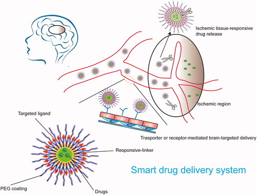 Figure 6. Schematic diagrams of a smart drug delivery system targeting ischemic stroke.