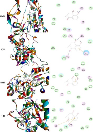 Figure 2 Molecular interactions between PLB and selected predicted targets.