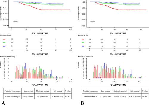 Figure 6 Draw the Kaplan-Meier curve of risk group stratification for overall survival. (A) In the 3-year overall survival Kaplan-Meier curve: 96% overall survival in the low-risk group, 93% overall survival in the middle-risk group, 82% overall survival in the high-risk group; (B) In the 5-year overall survival Kaplan-Meier curve: 94% overall survival in the low-risk group, 90% overall survival in the middle-risk group, 73% overall survival in the high-risk group; all curves show statistical differences. The blue line indicates low risk, the green line indicates medium risk, the red line indicates high risk.