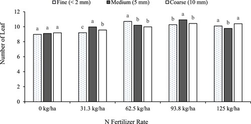 Figure 2. Effect of biochar size and N fertilizer rate on the leaf count of lettuce (Average of two cropping seasons) grown in moist semi-deciduous rainforest of Ghana. Bars with different letters are significantly different at P < 0.05, values are means of leaf count taken at 5,6,7, and 8 weeks after planting.