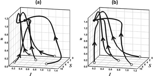 Figure 4. The phase portrait orbits of the time series solutions in Figure 3 are displayed in three dimensional phase space, together with a selection of other orbits (with initial conditions denoted by open circles). The graphs (a) and (b) correspond to the graphs (a) and (b) in Figure 3. In (a) all orbits tend to an equilibrium point indicated by the solid black circle which, because it located in the interior of the positive octant, is an endemic equilibrium. In (b) all orbits tend to an equilibrium point indicated by the solid black circle which, because it located on the vertical coordinate plane I=0, is a disease-free equilibrium.