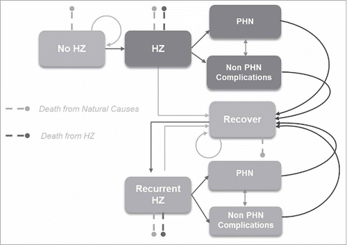 Figure 5. Schematic overview of Markov structure – ZONA model. HZ: herpes zoster; PHN: postherpetic neuralgia.