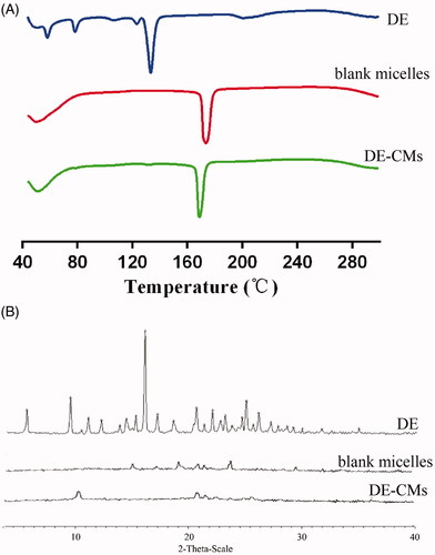Figure 3. (A) DSC analyses and (B) XRD analyses of DE, blank composite micelles and DE-CMs. DSC: differential scanning calorimetry; XRD: X-ray powder diffractometry; DE: dabigatran etexilate; DE-CMs: dabigatran etexilate-loaded composite micelles.