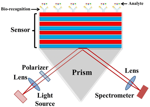 Figure 7. Sketch of a BSW based sensor. A bio-recognition layer is attached to the surface to make the sensor selective. Only the desired analytes can attach to the recognition layer resulting in a change in refractive index above the surface. The sensor surface can be separated into arrays of different bio-recognition analytes in order to obtain a multichannel response.