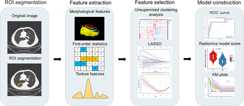 Figure 1. Workflow and pipeline overview. Tumor identification and annotation were performed before immunotherapy using the PyRadimocs package based on python (version 3.7.1) to extract intra-tumoral and peri-tumoral radiomic features. Subsequently, LASSO regression was employed to select relevant features from the training set, followed by the construction of radiomics models using LR and SVM classifiers. These models were validated using an independent testing set.