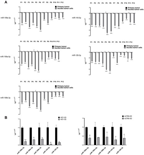 Figure 4 Validation of expression differences of DE-miRNAs between ovarian cancer primary tumours and ascites-derived tumour cells. (A) Expression differences of miR-199a-3p, miR-199b-3p, miRNA-199a-5p, miR-145-5p, miR-126-3p between 12 pairs of ovarian cancer primary tumour tissues and ascites-derived tumour cells from 12 HGSOC patients via quantitative PCR. (**p<0.01; ***p<0.001). (B) Expression differences in miR-199a-3p, miR-199a-5p, mi-199b-3p, miR-145-5p, miR-126-3p expression between adherent cultured (2D) and suspended cultured (3D) cells of the ovarian cancer cell lines HEY and A2780 via quantitative PCR. The expression of miR-199a-3p (p<0.0010), miR-199a-5p (p=0.0094), mi-199b-3p (p=0.0010), miR-145-5p (p=0.0016), miR-126-3p (p=0.0089) was decreased in the 3D-cultured HEY cells compared with that in the 2D-cultured HEY cells. Similarly, compared with the 2D-cultured A2780 cells, the expression of miR-199a-3p (p=0.0052), miR-199b-3p (p=0.0334), miR-145-5p (p=0.0253), miR-126-3p (p=0.0268) was reduced in the 3D-cultured A2780 cells. (*p<0.05; **p<0.01; ***p<0.001).