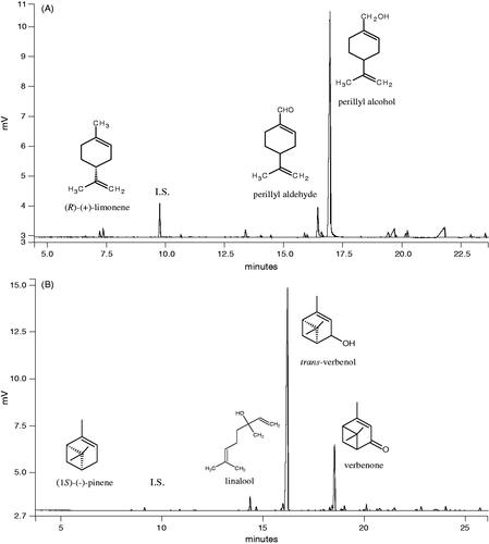 Figure 1. A GC-FID chromatogram and structures of main metabolites recovered after biotransformation of (R)-(+)-limonene by M. minutissima; IS, internal standard (A). Main products and a GC-FID chromatogram of the post-reaction mixture after (−)-α-pinene biotransformation by C. pannorum. IS, internal standard (B).