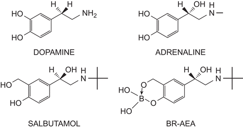 Figure 1.  Chemical structures of ligands docked on sulfotranferases.