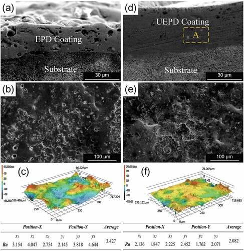 Figure 3. Morphologies of the composite coating: (a) cross-sectional view of the EPD coating; (b) surface view of the EPD coating and its (c) 3D image; (d) cross-sectional view of the UEPD coating; and (e) surface view of the UEPD coating and its (f) 3D image.