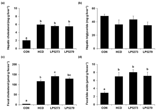 Figure 3. Effect of LP5273 on hepatic cholesterol, triglyceride level, fecal cholesterol and bile acid excretion.Data expresses Mean ± SE. Hepatic total cholesterol (a), triglyceride (b), fecal total cholesterol (c) and bile acids (d) were measured by enzymatic assay. Mice in CON group were fed with normal chow diet and 0.9% saline; Mice in HCD group were fed with high-cholesterol diet and 0.9% saline; Mice in LP5273 and LP5279 group were fed with high-cholesterol diet and 108 CFU of LP5273 or LP5279 per mousea,bDifferent letters indicate significant differences (P < 0.05).