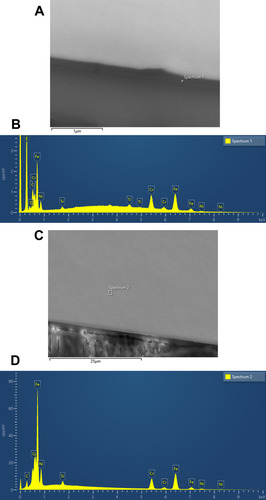 Figure 2 Images and graphs: (A) SEM of coated area, (B) SEM–EDX spectroscopy of coated area, (C) SEM of uncoated area, (D) SEM–EDX spectroscopy of uncoated area.
