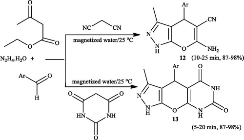 Scheme 13. Synthesis of the pyrano[2,3-c]pyrazole and pyrano[4',3':5,6]pyrazolo [2,3-d]pyrimidine derivatives using magnetized water.