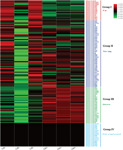 Figure 3. Heatmap of clustering analysis of gene expression pattern comparison of Cytochrome P450 gene family in P. eryngii. CK, control sample; Cd, P. eryngii mycelium treated with 50 mM CdCl2. Each treatment contains three biological replicates, CK1, 2, 3 and Cd1, 2, 3 represent triplicate experiment, respectively. The gene expression level increased with color from green to red.