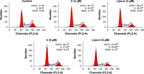 Figure S5 Cell cycle profiles in A549 cells were determined by flow cytometry after incubating with Ir (3 or 5 μM) and equivalent Lipo-Ir for 24 h.Notes: *P<0.05 compared with Ir (between same concentrations). #P<0.05 compared with control.Abbreviations: Ir, iridium; Lipo-Ir, Ir-loaded PEGylated liposomes; PEG, polyethylene glycol.