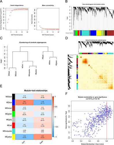 Figure 2 Co-expression network of differentially expressed genes in sepsis. (A)The choice of the soft threshold of power. (B) Dendrogram of co-expression module clusters. And, co-expression modules were represented by different colours. (C) Representative clusters of modular autologous genes. (D)Representative heatmap. (E)Correlation analysis of module-related genes with clinical traits (normal and sepsis). Rows represent modules, columns represent clinical traits and numbers in brackets are p-values. (F) Scatter plot.