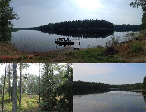 Figure 2. Photographs from Lake Lavsböle Träsk showing the vegetation that surrounds the lake today.