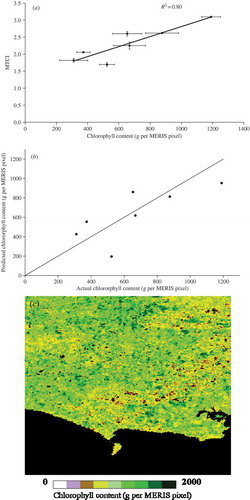 Figure 10. (a) Relationship between MTCI and chlorophyll content for all data except the oat field; (b) relationship between predicted and actual chlorophyll content using the leave-one-out method for all fields except the oat field; and (c) chlorophyll content map in g per MERIS pixel of the study site derived from the relationship between ground measurements and MTCI.