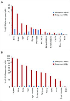 Figure 4. Nanoparticle-mediated miRNA uptake in vivo. (A) Expression levels of endogenous miR-193a-3p (blue bars) and exogenous miR-193a-3p (red bars) in the indicated normal mouse organs and in tumors derived from HCC1806 and CAL51 cells, relative to the ubiquitously expressed and highly abundant small RNA U6. N = at least 3 mice per tumor/organ. This chart was created by re-plotting the data shown in Figures S6A and S6O, Hydbring et al.28 (B) Expression levels of endogenous miR-214-5p (blue bars) and exogenous miR-214-5p (red bars) in the indicated mouse organs and in tumors derived from LoVo and A549 cells, relative to the ubiquitously expressed and highly abundant small RNA U6. N = at least 3 mice per tumor/organ. Bars displaying endogenous miR-214-5p levels are re-plotted from data shown in Figure S8A, Hydbring et al.Citation28