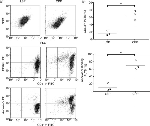 Fig. 4.  Flow cytometric analysis showed increase of platelet surface exposure of phosphatidylserine and CD62P on cryopreserved PLTs (CPPs) compared to liquid-stored PLTs (LSPs). (a) LSPs and CPPs representative dot plots showing forward scatter (FSC)/side scatter (SSC), double fluorescence dot plots showing CD41a+ (FITC)/CD62P+ (PE) and CD41a+ (FITC)/annexin V (PE). (b) CD62P+ and annexin V-binding populations in liquid-stored platelets (LSPs) and cryopreserved platelets (CPPs) are calculated as percentage of CD41a+ platelets. Individual data points are shown in scatter plots (mean); n = 3 donors; **p < 0.01.