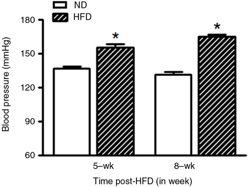 Fig. 3 Graphical representation of arterial systolic blood pressure (mmHg) measured in conscious female HFD (n=9) rats compared with gender- and age-matched ND (n=9) group after 5 and 8 weeks of standard or high-fat diet treatment. Values are means±SEM. *P<0.05 versus ND (Student's t-test).