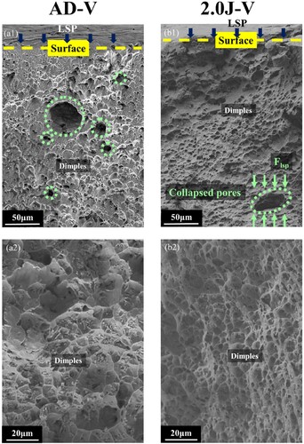 Figure 5. Fracture morphology of AD sample and 2.0J samples.