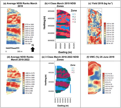 Figure 10. Maps for the Rexburg Site showing (a) March 2019 average rank of NDSI, (b) March 2019 NSDI zones, (c) 2019 wheat yield, (d) average NDSI ranks March 2018–2022, (e) March 2018–2022 NDSI zones and (f) VWC 25 June 2019. Field appears a different shape in different figures because some years the whole field was irrigated and in others, just the inner semi-circle was irrigated. Black lines in (c) show soil series boundaries.