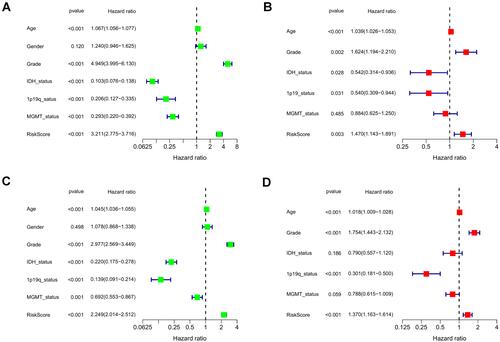 Figure 5 Univariate and multivariate independent prognostic analysis of risk score signature. (A and C) Univariable Cox regression analyses of the risk signature and clinical traits with p < 0.05 were considered statistically significant in the TCGA and CGGA cohorts. (B and D) Forest plot of multivariate Cox regression analysis of risk score and clinical characteristics in the training and testing sets.