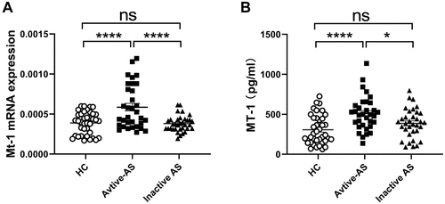 Figure 2 Comparison of MT1 mRNAs and protein levels among AS patients with active disease and inactive disease as well as HC with tophi. (A) The mRNA expressions of MT1 in PBMCs from active AS patients (n=33) and inactive AS patients (n = 34) and healthy control (HC) (n = 38) were measured by RT-PCR; (B) Serum MT-1 protein levels in active AS patients (n= 33) and inactive AS patients (n = 34) and HC (n = 38) were measured by ELISA; Differences between two groups were performed with one-way ANOVA multiple comparisons. *P<0.05; ****P<0.0001.