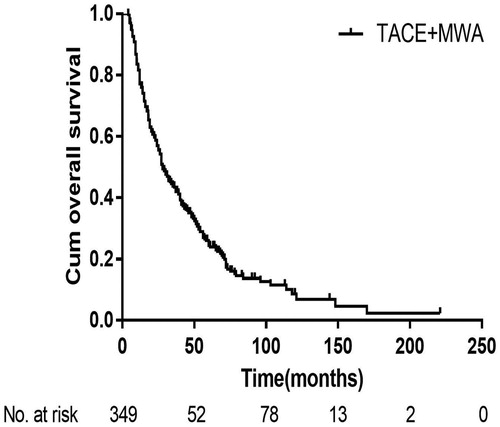 Figure 1. Kaplan-Meier curves of overall survival in all 349 patients with large HCCs after TACE-MWA.