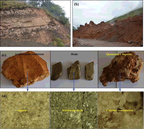 Figure 5. Typical lithology condition and rock masses within the affected area of the Ludian earthquake: (a) sedimentary layered rock masses; (b) quaternary deposits accumulated at the lower slope; (c) three typical rock masses: argillaceous sandstone, shale and quaternary deposits and (d) micro-structural characteristics of these three rock masses.