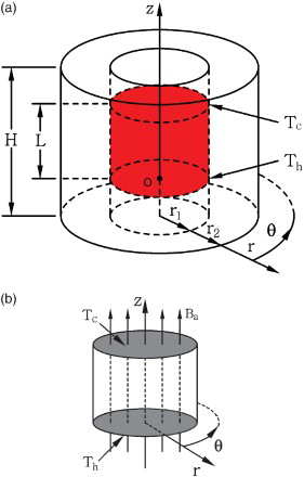 Figure 1. Sketch of the liquid bridge and magnetic lines of the axial magnetic field: (a) coordinate system, and (b) magnetic lines.