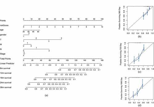 Figure 3. Nomogram and calibration plot of the clinical prognostic model. (a) Nomogram of the clinical prognostic model. (b-d) Calibration curves for the 1-, 3 – and 5-year survival plots comparing the actual and predicted values