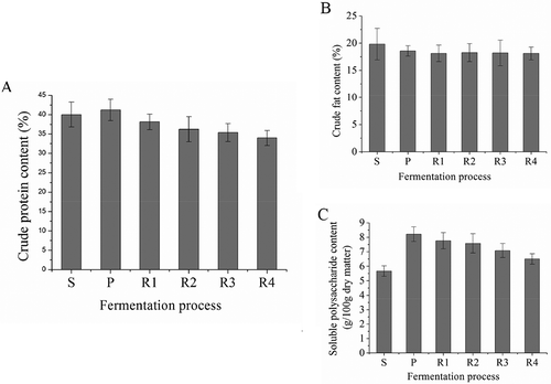 FIGURE 1 A: Changes of crude protein content during Douchi fermentation; B: Changes of crude fat content during Douchi fermentation; C: Changes of soluble polysaccharide content during Douchi fermentation. “S” is the abbreviation of “soaking,” and the sample of “soaking” was “soaked soybean;” “P” is the abbreviation of “pre-fermentation,” and the sample of “pre-fermentation” was Douchi qu; R is the abbreviation of “ripening,” and “R1” to “R4” were “ripening” for 1, 2, 3, and 4 weeks, respectively. Samples of R1 to R4 were Douchi samples after ripening for 1, 2, 3, and 4 weeks, respectively.