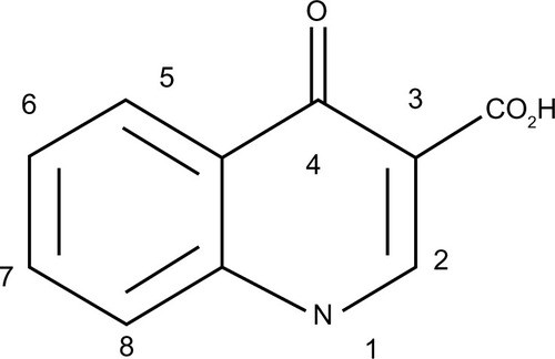 Figure 1 Common structural features of quinolones.