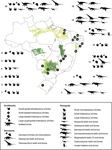 Figure 1. Cretaceous deposits from Brazil and their dinosaur assemblages, emphasising occurrences from the Lower Cretaceous units. 1–3, Botucatu Formation (Paraná Basin); 4–5, Goio Erê and Rio Paraná formations (Caiuá Group); 6–8, Abaeté, Quiricó, and Três Barras formations (Sanfranciscana Basin); 9–10, Maceió and Feliz Deserto formations (Sergipe-Alagoas Basin); 11, Antenor Navarro, Sousa, and Rio Piranhas formations (Rio do Peixe basins); 12, Quixoá (Icó) and Malhada Vermelha formations (Iguatu basins); 13, Rio da Batateira, Crato, and Romualdo formations (Araripe Basin); 14, Açu Formation (Potiguar Basin); 15, Itapecuru Formation (Parnaíba Basin); 16, Alcântara Formation (São Luís-Grajaú Basin). The asterisk exhibits the occurrences from the Recôncavo Basin presented by this work. Detailed information on each occurrence is provided in the Supporting Information (File S1). Modified from ‘Carta Geológica do Brasil ao Milionésimo’ (Souza et al. Citation2004).