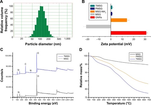 Figure 4 (A) Dynamic light scattering size of MSG. (B) Zeta potential of GNRs (CTAB stabilized), MSG, MSG-NH2, PMSG, and TMSG (n=3). (C) X-ray photoelectron spectra of MSG and TMSG. (D) TGA curves of MSG, PMSG, and TMSG.Abbreviations: MSG, mesoporous silica-coated GNRs; GNRs, gold nanorods; CTAB, cetyltrimethylammonium bromide; MSG-NH2, amine-functionalized MSG; PMSG, polyethylene glycol-modified MSG; TMSG, tLyp-1 peptide-functionalized PMSG; s, second; TGA, thermogravimetric analysis.