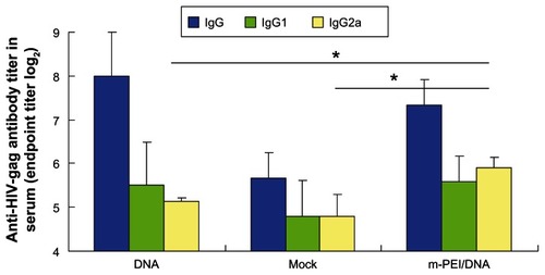 Figure 3 Specific antibody titer (IgG, IgG1, IgG2a) of HIV-gag.Notes: The titer of the 5% glucose group was used as a background level. Blood samples were diluted by twofold dilution from 1:16. The data were represented as the mean ± standard deviation of three independent experiments. The IgG2a titer of the m-PEI/DNA group was significantly higher than the naked DNA group and Mock, *P < 0.05. The IgG and IgG1 titer of the three groups were nonsignificant.Abbreviations: Ig, immunoglobulin; HIV, human immunodeficiency virus; DNA, deoxyribonucleic acid; Mock, empty vector pVAX1; m-PEI/DNA, mannosylated polyethyleneimine and DNA plasmid complex.