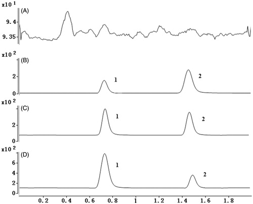 Figure 3. (A) Representative chromatograms of blank plasma; (B) representative chromatograms of LLOD; (C) plasma samples after oral administration of amlodipine (amlodipine, 0.52 ng/mL; felodipine, 2 ng/mL); (D) plasma samples after oral administration of amlodipine and triptolide (amlodipine, 1.26 ng/mL; felodipine, 2 ng/mL). 1: amlodipine, 2: felodipine.