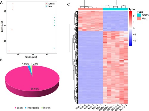 Figure 4. Characterization of transcriptome sequencing data of DOPs and Mat. A Pair-wise Pearson’s correlation coefficients of the sequencing data from DOPs and Mat. B Gene structure and distribution pattern. C Heat map of gene expression.