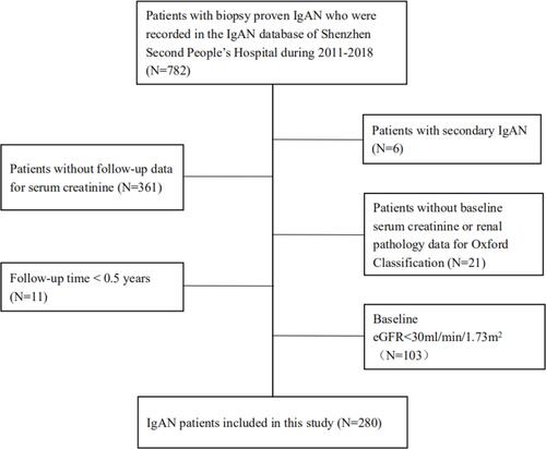 Figure 1 Flowchart of immunoglobulin A nephropathy patients included in the study.