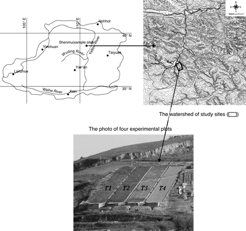 Figure 1.  Locations of the field study and experimental layout of the plots (T1-artificial caragana shrubland, T2-artificial alfalfa grassland, T3-natural restoration land, T4-bare land).