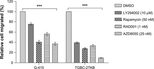 Figure 5 Effect of rapamycin, RAD001, and AZD8055 on cell migration.