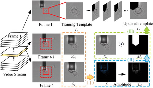 Figure 4. Template update schematic for current frame. (I) Calculate the optical flow of the adjacent two frames St−1 and St. (II) Obtain our occlusion mask Mt. (III) Update new template design Tt.